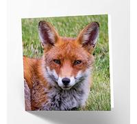 Maturi Fox - Biglietto d'auguri fotografico per compleanno, 15,5 x 15,5 cm
