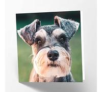Maturi Schnauzer - Biglietto di auguri di compleanno, 15,5 x 15,5 cm