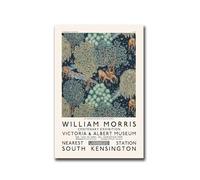 Matvsd Kohecs William Morris Mostra Wall Art William Morris Fleures Piante Poster e Stampe William Morris Pittura Tela per Home Decor 30x45cm Senza Cornice