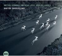 Matyas Szandai, Mathias Levy & Miklos Lukacs Bartók Impressions (CD) Album