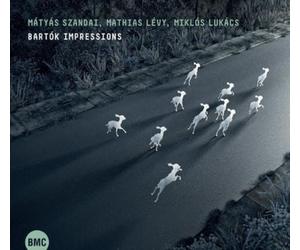 Matyas Szandai, Mathias Levy & Miklos Lukacs Bartók Impressions (CD) Album