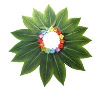 Maui Costume hawaiano per bambini, gonna hu-la, gonna in , gonna hawaiana con foglie verdi, costume hawaiano in tessuto morbido elastico, comodo per balli, feste di falò, spiaggia, Verde B, 36