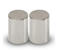 MAUL Magnete al neodimio - Magnete robusto con forza adesiva particolarmente elevata per un uso versatile - Magnete forte dal design moderno - 20 x 25 mm - Confezione da 2 - Argento chiaro