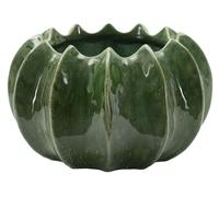 Mauro Ferretti Cachepot Cactus Ø 22x13,5 cm in Ceramica Verde