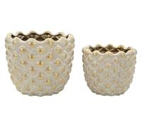 Mauro Ferretti Cachepot Pepitas cm Ø 23X18-18,5X15,5 Ceramica Grigio/Oro