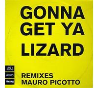 Mauro Picotto - Lizard