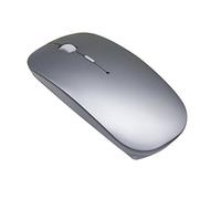 Mauser Wireless Bluetooth Ricaricabile Silenzioso, Mouse Senza Fili Mini Maus con Ricevitore Mouse Portatile per Laptop/MacBook/PC/Windows/Mac/IPad/Android- Argento