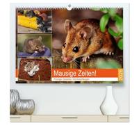Mausige Zeiten! Putzige Gesellen mit Knopfaugen (hochwertiger Premium Wandkalender 2026 DIN A2 quer), Kunstdruck in Hochglanz: Niedliche Farbmäuse und wilde Artgenossen