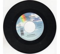 MAVERICKS - MAVERICKS-something stupid/ i don't care MCA (45 single record)