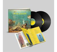 Max Gazzè - L'ornamento delle cose secondarie - 2LP Nero [2 LP]