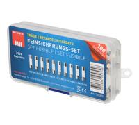 Max Hauri 135395 Assortimento di mini fusibili (Ø x L) 5 mm x 20 mm Ritardato