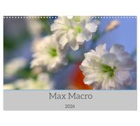 Max Macro (Wandkalender 2026 DIN A3 quer), CALVENDO Monatskalender: Macro Aufnahmen