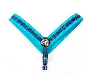 Max & Molly Matrix Sky Blue Q-Fit 4894512017658 - Imbracatura per Cani in Neoprene Imbottito con Cuciture Riflettenti, S, 73 g