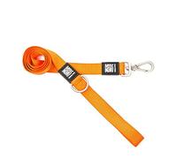 Max & Molly Pure Orange - Design di Alta qualità e colorato - Comodo - Sicuro - Neoprene Imbottito - Sportivo ed Elegante - Lino Corto, L