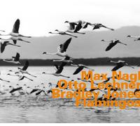 Max Nagl; Otto Lechner; Bradley Jones Flamingos (CD) Album