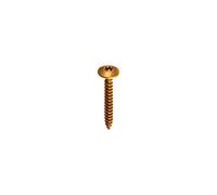 Max-Power KL3220650G Viti Truciolari Torx Zincate Giallo con Collare 6.0 X 50, 1 Kg