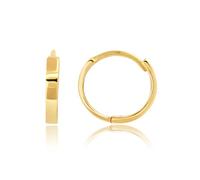 Max + Stone - Orecchini a cerchio piccoli in oro giallo massiccio 14 carati con chiusura a cerniera nascosta in varie dimensioni, metallo, non consentito