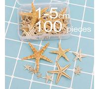 Max-Tonsen Belle Conchiglie di Mare Stelle Marine Naturali Stelle Marine Decorazioni Artigianali in Resina epossidica Fai-da-Te per riempitivi per vasi da Matrimonio a Tema Spiaggia