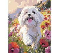 MAXBYE Dipingi con i Numeri per Adulti Papaveri, Cane Carino Kit di Pittura a Olio su Tela Fai-da-Te per Principiante con Pennelli Pittura Pigmento Acrilico Disegno, Decorazioni Casa Regali 40x50cm