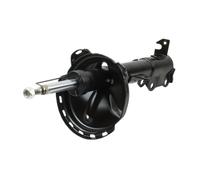 MAXGEAR 11-1631 Ammortizzatore per LEXUS,TOYOTA