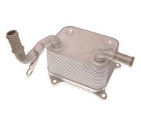 Maxgear Radiatore olio motore 14-0055 raffreddato ad acqua per Audi A4 8EC VW Touareg 7L6 7L7 7LA