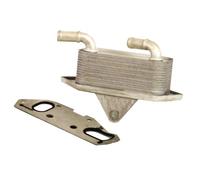 MAXGEAR Radiatore olio motore