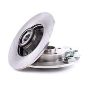 Maxgear Dischi Freno Posteriori L+R Per Citroen C3 C4 Peugeot 307 Con Cuscinetto