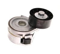 MAXGEAR 54-0029 Tendicinghia, Cinghia Scanalata per Citroën, Fiat, Lancia,