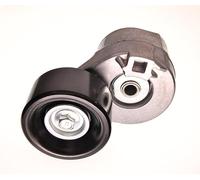 MAXGEAR 54-0034 Tendicinghia, Cinghia Poly-V per FORD