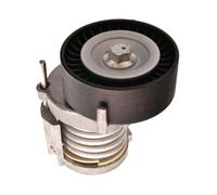 MAXGEAR 54-0046 Tendicinghia, Cinghia Poly-V per AUDI,SEAT,SKODA,VW