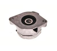 MAXGEAR 54-0052 Tendicinghia, Cinghia Poly-V per AUDI,FORD,SEAT,VW