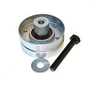 MAXGEAR 54-0202 Galoppino/Guidacinghia, Cinghia Poly-V per FORD