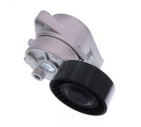 MAXGEAR 54-0446 Tendicinghia, Cinghia Poly-V per BMW,BMW (BRILLIANCE)