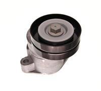 MAXGEAR 54-0463 Tendicinghia, Cinghia Poly-V per OPEL,VAUXHALL
