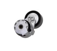 Maxgear 54-0533 Tensionatore Cinghia Poly V Per Renault Nissan Dacia