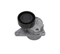 MAXGEAR Tendicinghia, Cinghia Poly-V per VOLVO VOLVO ASIA 54-0563