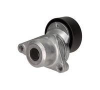 MAXGEAR Rullo tenditore, Cinghia Poly-V per CITROËN PEUGEOT 54-0620