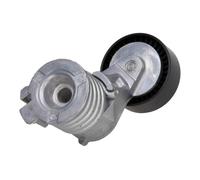 MAXGEAR Tendicinghia, Cinghia Poly-V compatibile con AUDI SEAT SKODA VW 54-0722