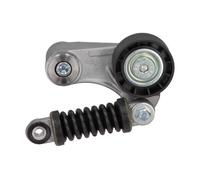 Maxgear 54-0741 Tenditore Cinghia, Cinghia A V Per Mitsubishi, Renault, Volvo