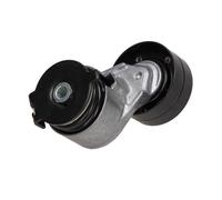 MAXGEAR Tendicinghia, Cinghia Poly-V per RENAULT DACIA 54-0742