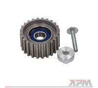 MAXGEAR Galoppino/Guidacinghia, Cinghia dentata per FIAT IVECO 54-0860
