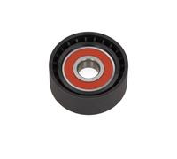 MAXGEAR Rullo tenditore, Cinghia Poly-V compatibile con BMW 54-0895