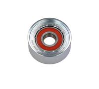 Maxgear 54-1071 Galoppino Cinghia Scanalata per Renault Laguna III Dacia Sandero