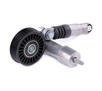 MAXGEAR Tendicinghia, Cinghia Poly-V compatibile con CITROËN 54-1099