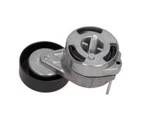 Maxgear 54-1142 Tensore Cinghia Poly-V Per Audi A4 8EC B7 8ED B7 A5 A6