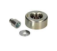 Maxgear 54-1305 Rullo Di Guida Per Cinghia A V Per Porsche 911 911 Targa