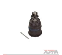 Maxgear 72-3155 Braccio Strutturale Frontale per Honda Accord VII
