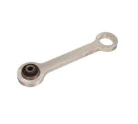 Braccio oscillante Assale posteriore Sx Braccio trasversale oscillante 72-3205
