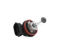 MAXGEAR 78-0013 Lampadina, faro di profondità