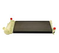 MAXGEAR AC230059 Radiatore, Raffreddamento motore per FIAT,LANCIA